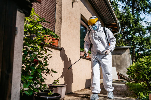Pest Prevention Services in Inverness Highlands South, FL