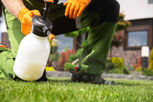 Best Pest Control Near Me  in Inverness Highlands South, FL