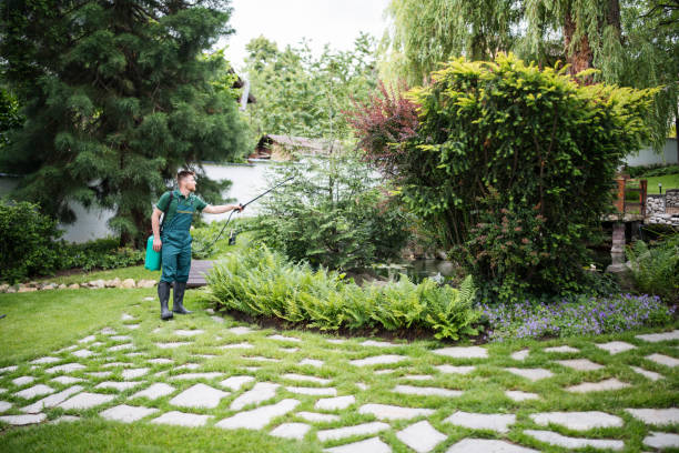 Best Best Pest Control Companies  in Inverness Highlands South, FL