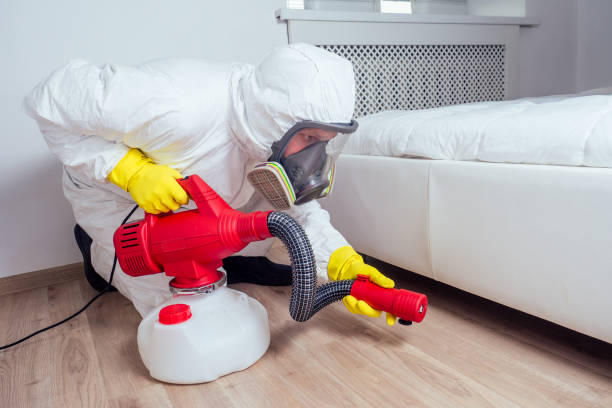 Wasp Removal Services in Inverness Highlands South, FL