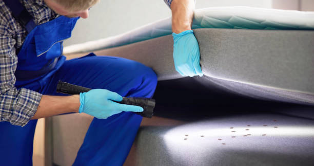 Inverness Highlands South, FL Pest Control Pros