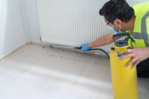 Best Best Pest Control Companies  in Inverness Highlands South, FL