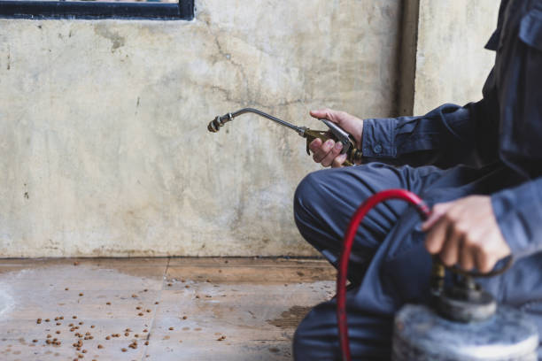 Best Affordable Pest Control Services  in Inverness Highlands South, FL